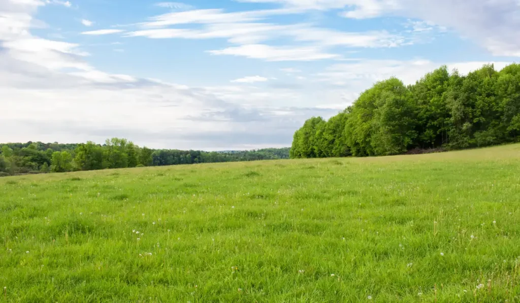 An empty uneven land in Ontario
